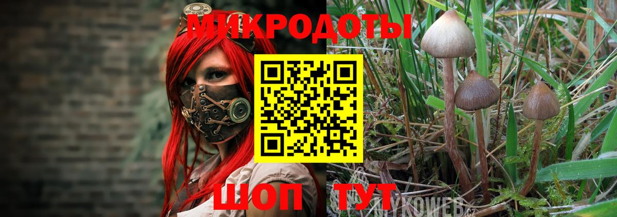 Галлюциногенные грибы прущие грибы Пенза